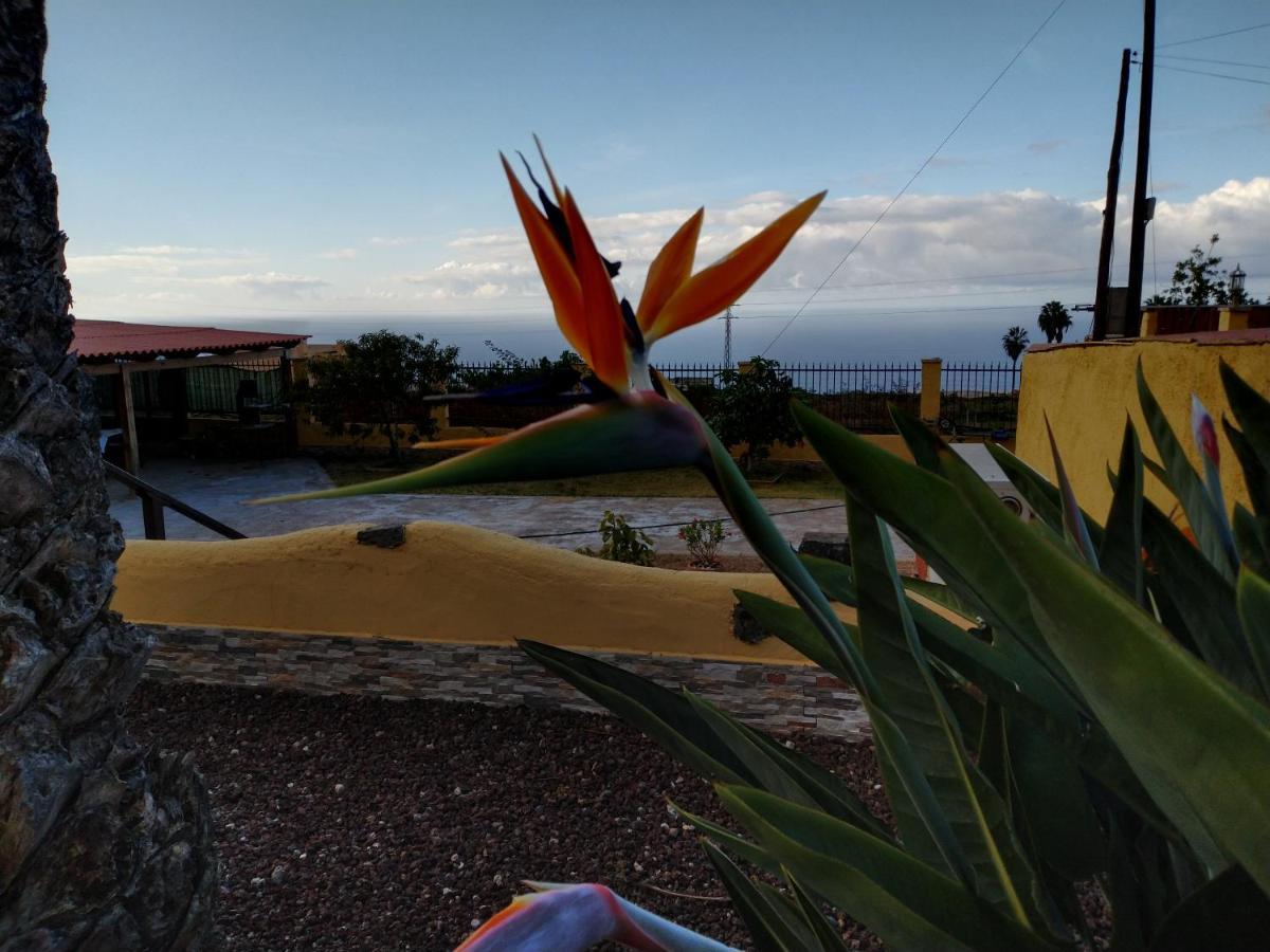 Apartamento La Costa Santa Cruz de Tenerife Exterior foto